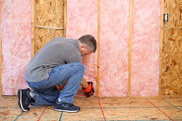 Best Eco-Friendly Insulation Solutions  in , ID